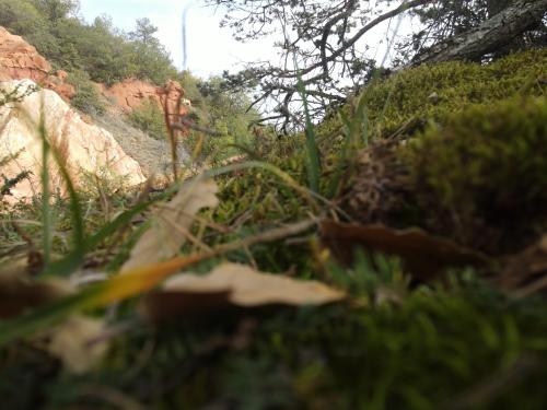 DJI_1710.JPG